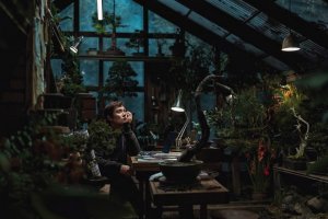 Filmy .týždňa: Poruchy systému a pokazený relax v kúpeľoch