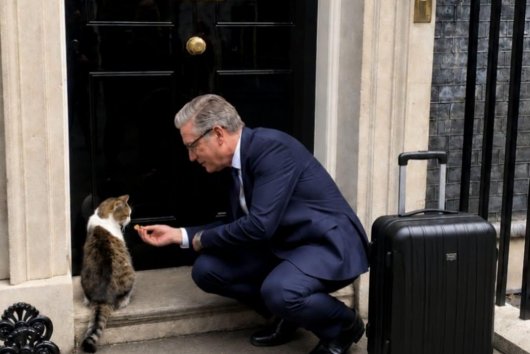 Larry: Ako sa túlavý kocúr stal britskou politickou ikonou