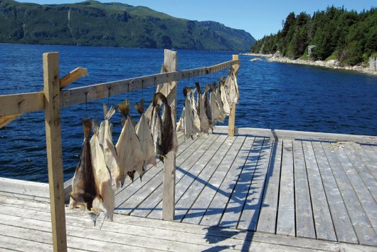 Amerika, ktorú objavili Vikingovia pred Kolumbom