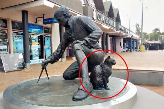 Pradúci námorníci: Mačky, ktoré prežili búrky, torpéda aj dejiny