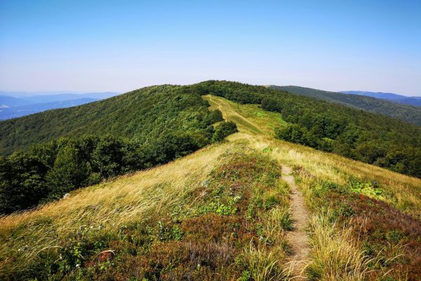Proti návrhu zonácie Polonín sa okrem ochranárov a verejnosti postavili už aj vedci