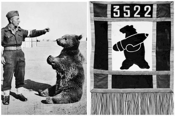 Ako desiatnik medveď Wojtek vyhral vojnu?