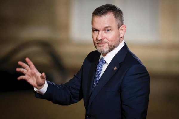 Štefan Hríb: Rok Petra Pellegriniho