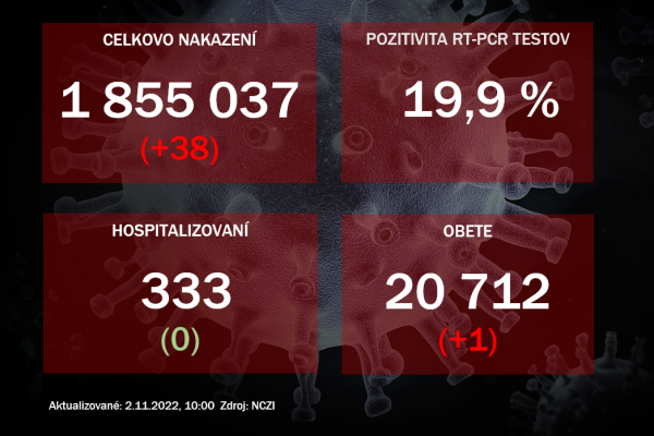 Koronavírus ONLINE: PCR testy v nedeľu odhalili 38 pozitívnych