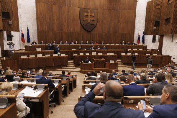 Parlament opätovne schválil zákon o profesionálnych náhradných rodičoch