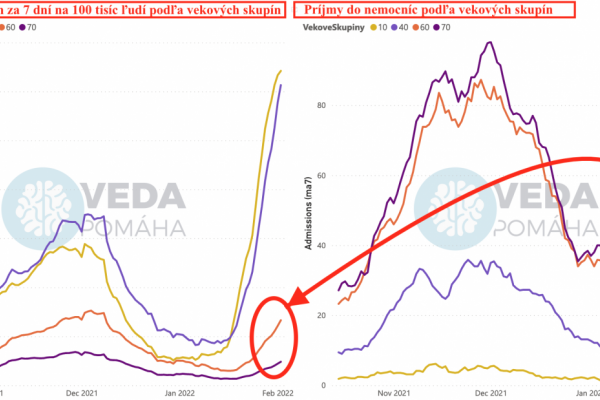 Dáta bez pátosu: Nezabudli sme na seniorov?