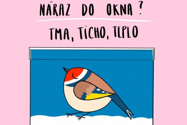 Rosie Naive Art: Opakovanie je matka ochrany