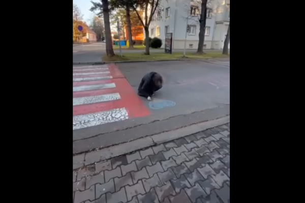 Riaditeľka popradskej školy prehovorila o incidente v súvislosti s prednáškou premiéra