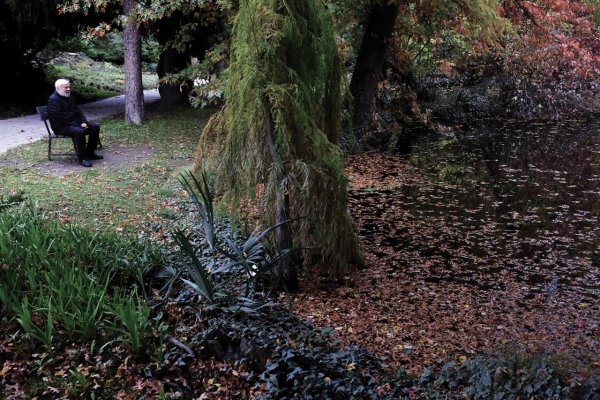 Štefan Hríb: Mojžiš moderného Slovenska