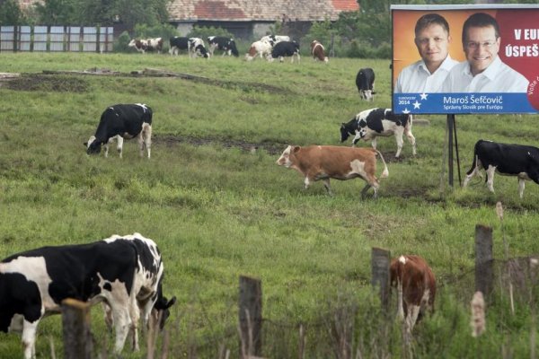 Téma .týždňa: Čomu veria naši politici