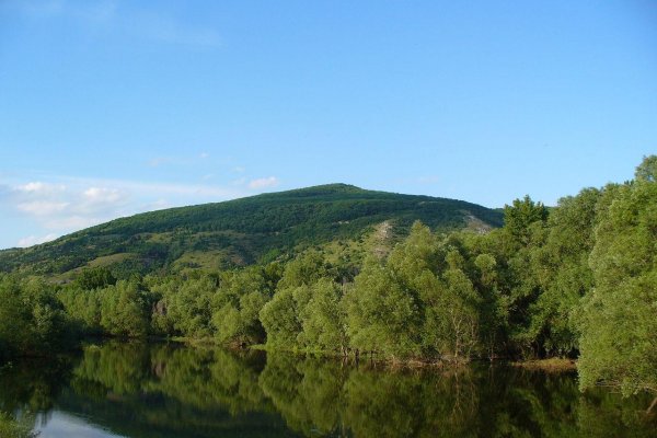 Devínska kobyla bude vyhlásená za prírodnú rezerváciu