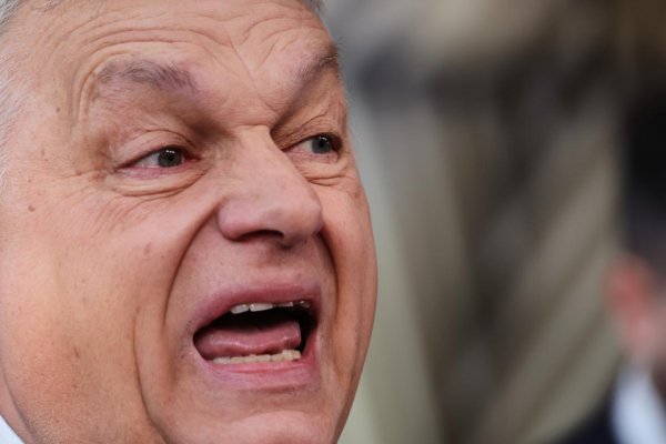 Chaos v Orbánovom záujme. Príliš veľa pozorovateľov maďarských volieb