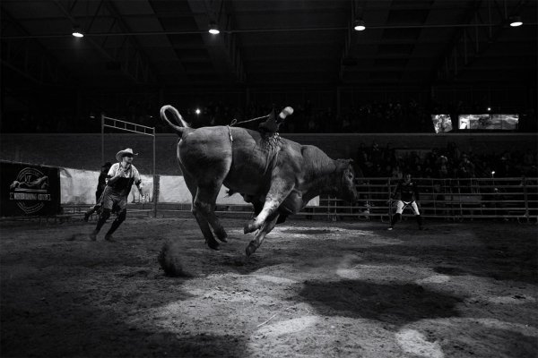 Bull Riding