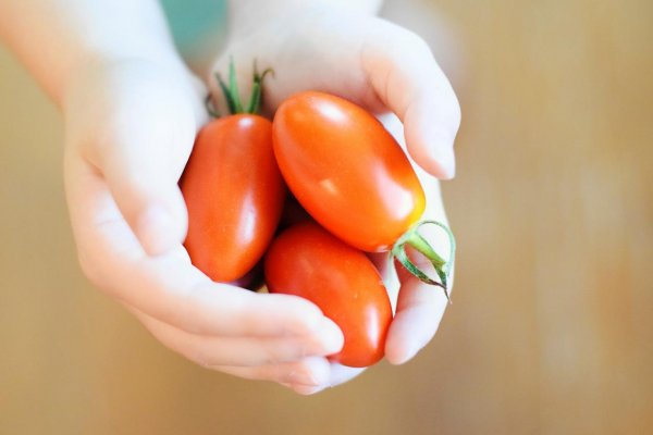 Detské vegánstvo. Prelomový trend či život ohrozujúci nezmysel? 