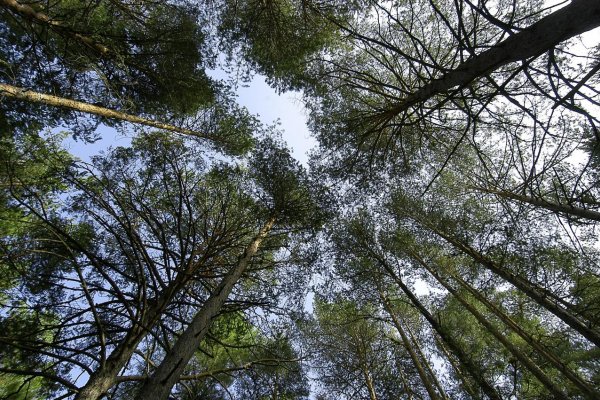 Správa NAPANT-u podáva pre požiar v NPR Salatín podnet na enviropolíciu