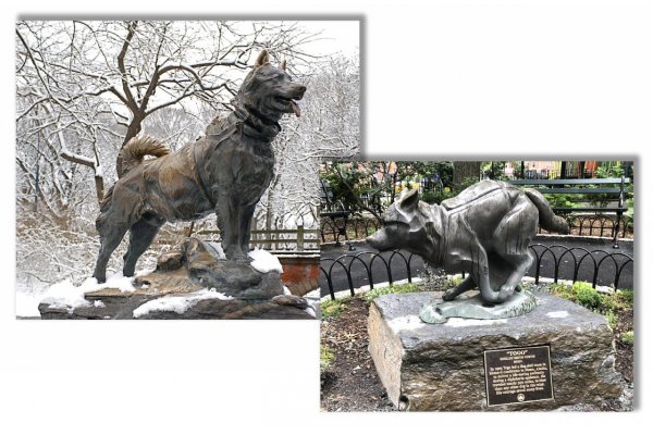 Veľké zvieracie príbehy: Najslávnejší huskyovia na svete