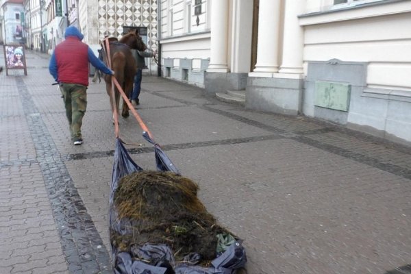 Na Ministerstve pôdohospodárstva niečo zapácha