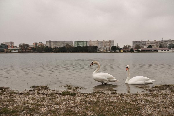 Petržalka: dobré miesto na život