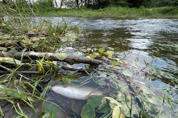 Opäť otrávená Slatina