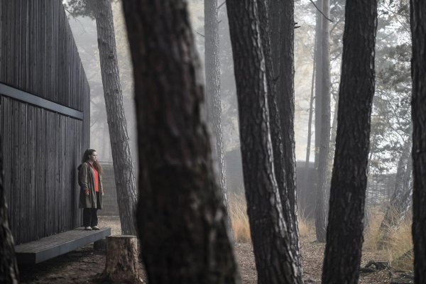 Filmy .týždňa: Ukrajinský Jánošík, stratené dievča aj bomba v aute