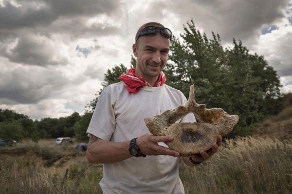 Vzácne skameneliny objavujú nadšenci 