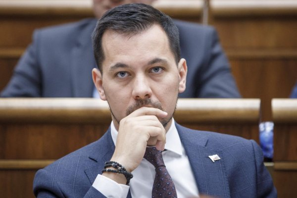 Šeliga navrhne, aby v parlamente neprelamovali prezidentkino veto