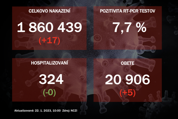 Koronavírus ONLINE: PCR testy v sobotu odhalili 17 pozitívnych