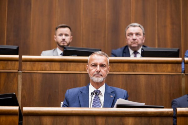 Raši si myslí, že o odvolávaniach ministrov i vlády by sa už malo rokovať