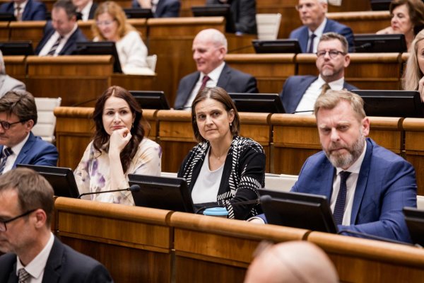 SaS predkladá do parlamentu uznesenia ku Grónsku aj k Iránu, chcú nimi prebudiť vládu aj „nemú šťuku“ Blanára