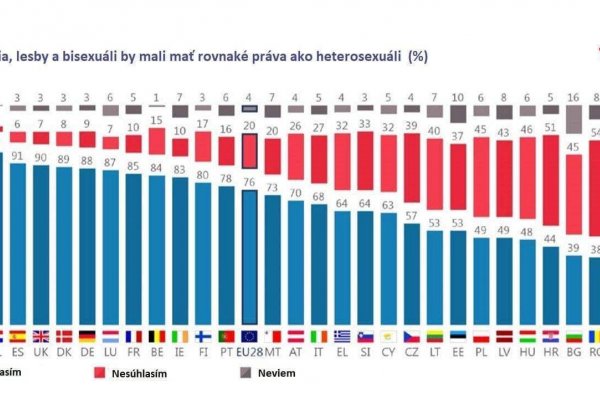 Dáta bez pátosu: Aby sme rozumeli veľkosti problému (ne)priznávania práv menšinám ​