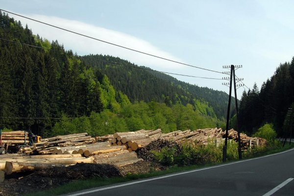 Obaja zadržaní v kauze korupcie v Lesoch SR budú stíhaní vo väzbe